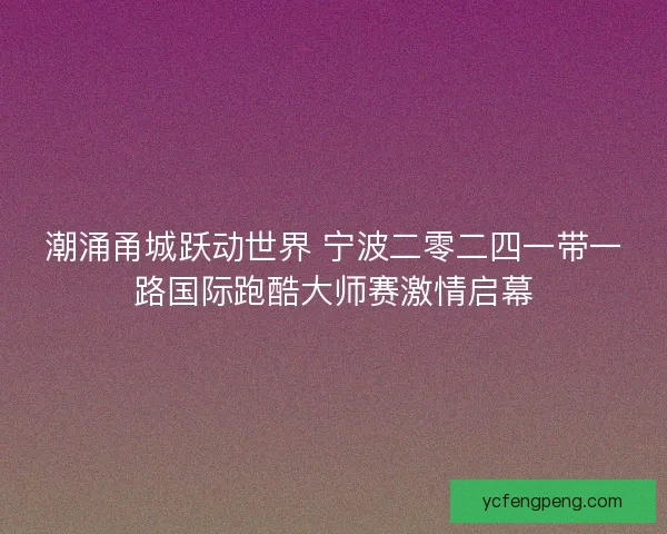 潮涌甬城跃动世界 宁波二零二四一带一路国际跑酷大师赛激情启幕